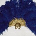 blue feathers